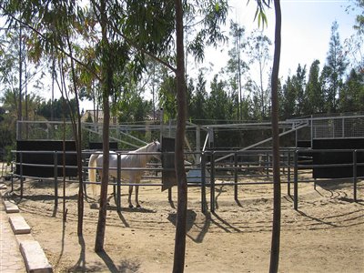 Stables Design and Landscape at Al Sharbatly Stud