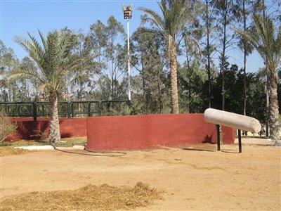 Stables Design and Landscape at Al Sharbatly Stud