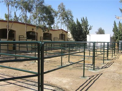 Stables Design and Landscape at Al Sharbatly Stud