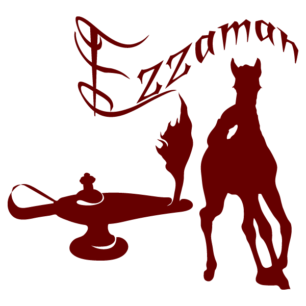 Logo Ezzaman Stud